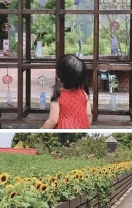 大阪府立花の文化園 入園券１枚（２名様までご利用可）